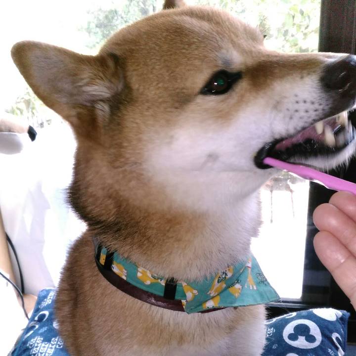 4424b667 412b 49b6 8489 d6cafe789654