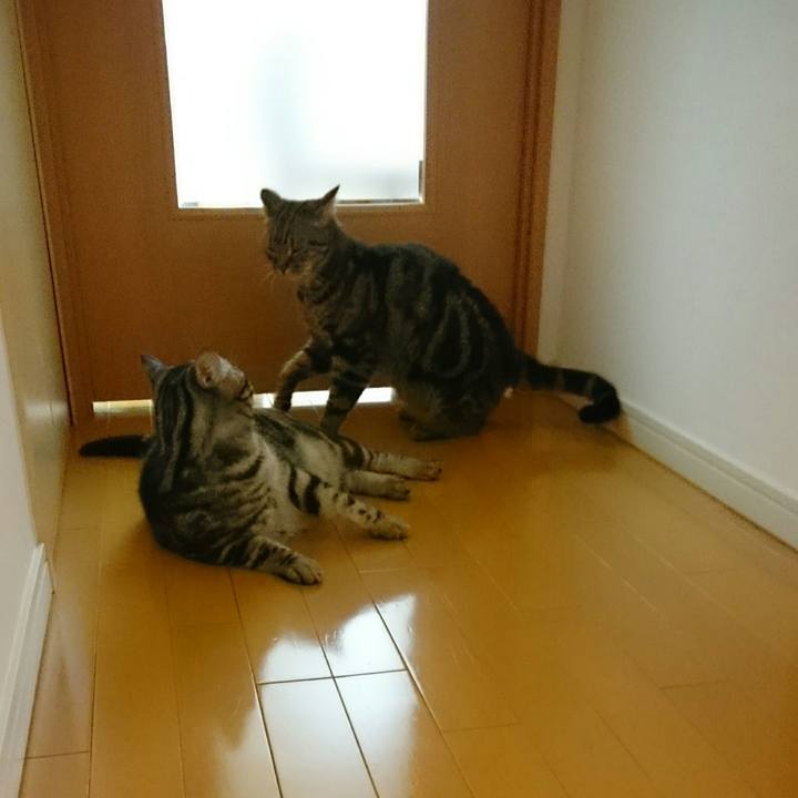 442559ed ab66 4d48 968e 2ae66cdafe8c