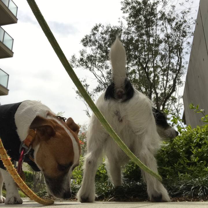 44255ecd dc5b 495f a90d 48da4924a6e4