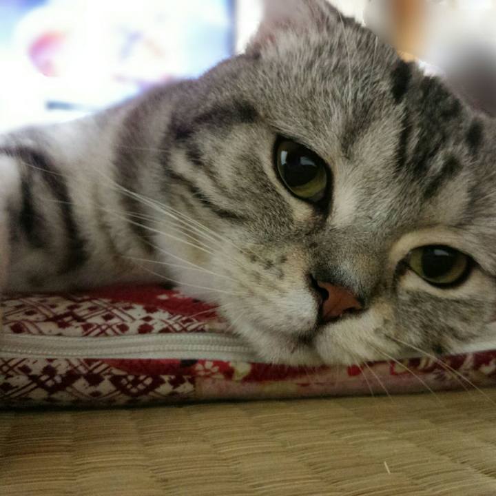 442566ee b11a 42fd 96ef fda37287b046