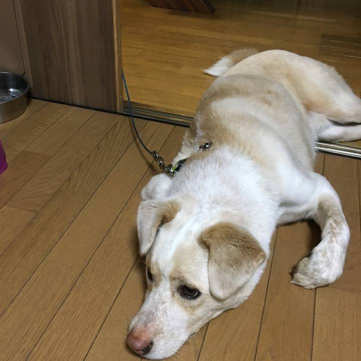 44257ca0 22fb 4c15 9425 d30b3a3dfb0d