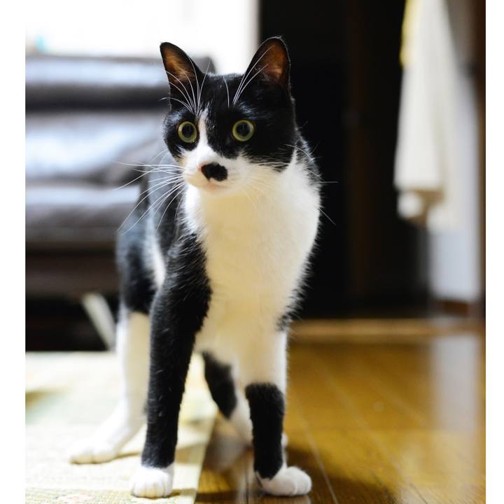 44259eee ee61 41c5 9afb 6e19c0ad16dc