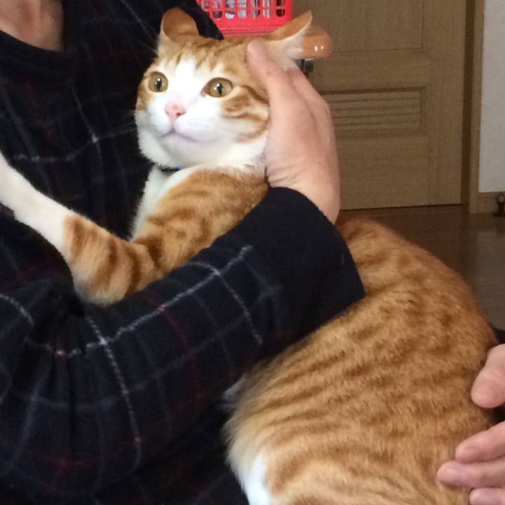 4425beba e757 4428 9fe9 50e012d50abb