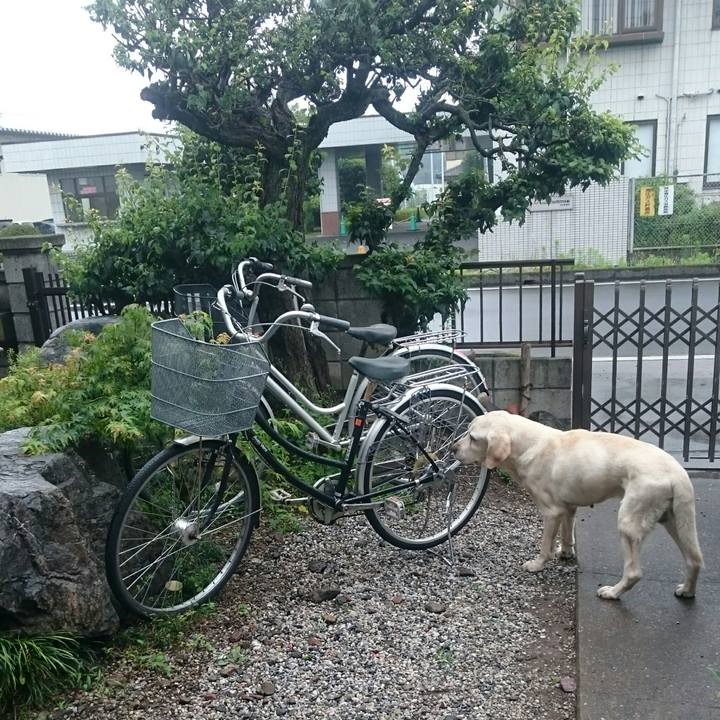 4425d332 d256 48ad 86fc 2f1ca06f7f4d