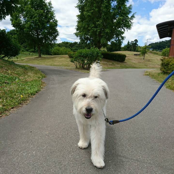 442617d3 9738 485f 86fc 425fc82f5627