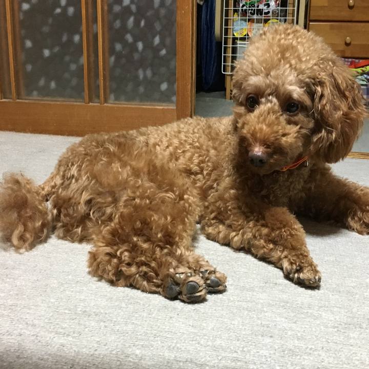 442672d7 7180 41ea 903e dee2dd8f086c