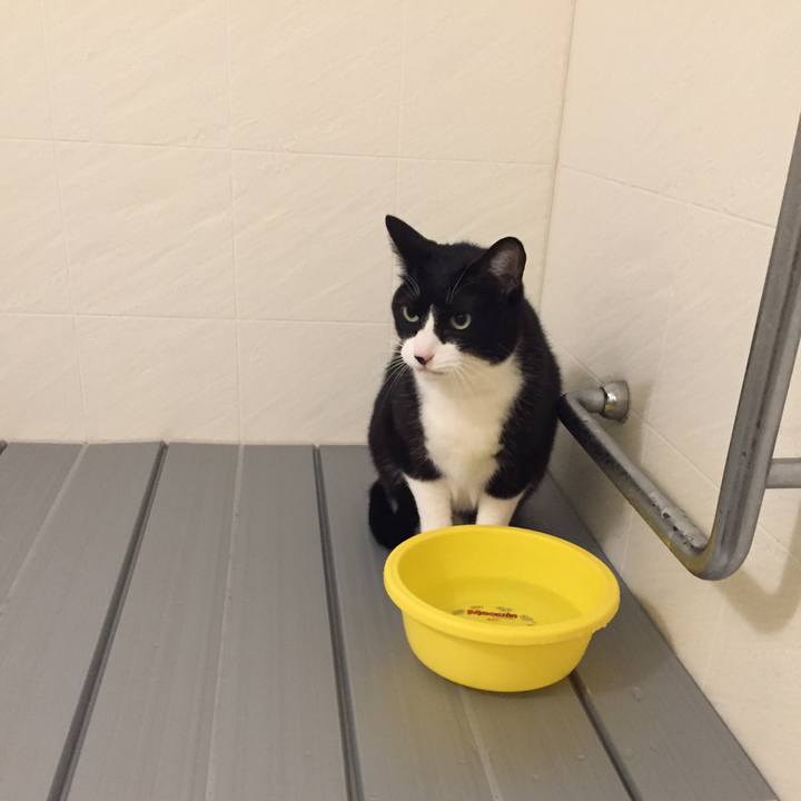 442687ee b61e 48ea b793 072a679f63c3