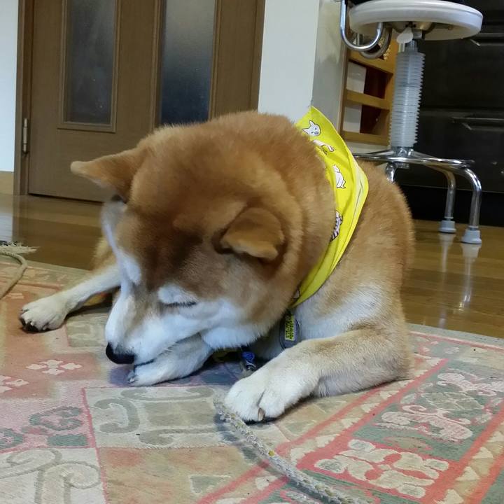 44269e21 2e34 456b aa86 b2a0d45a5f29