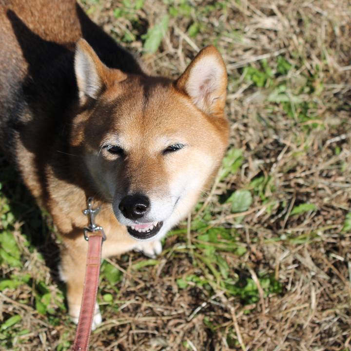 44275fe0 583b 4dbf 9d8a 44c878f2883b