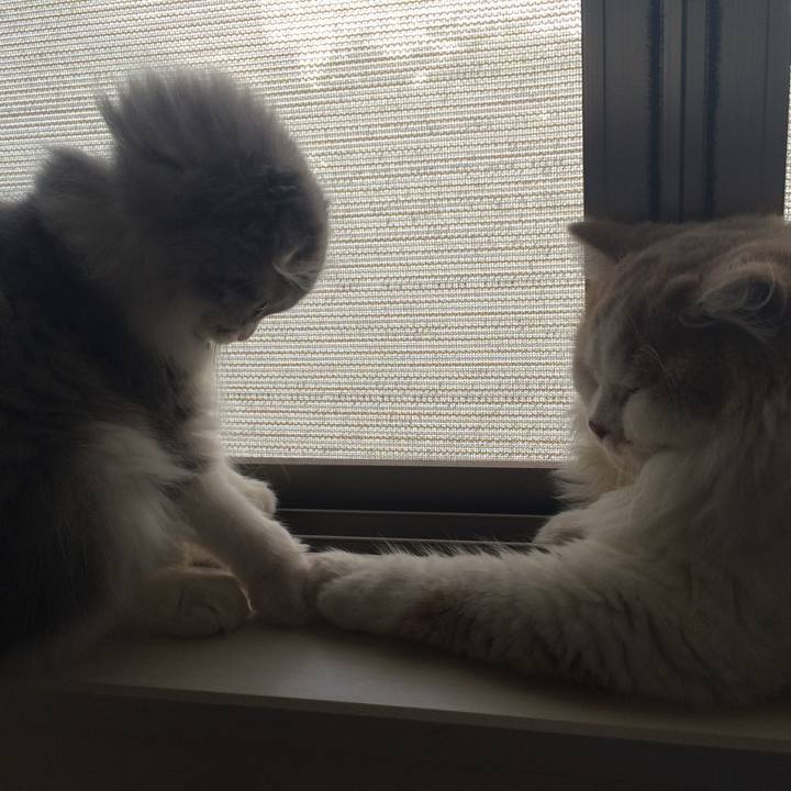 442808da ff85 4739 94f6 25676bbb3559