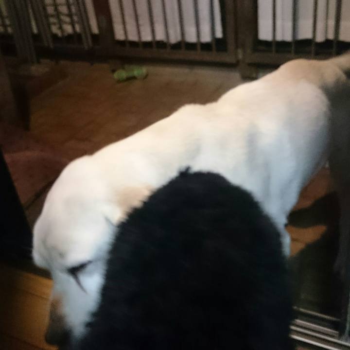 44282cc8 b758 4538 854d 232157677df5