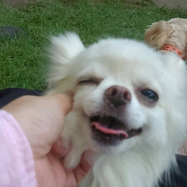 44286aff cb02 4871 a88b e777d2a76e33