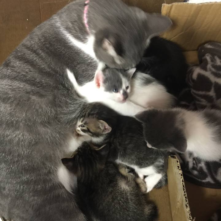 4429037f 8c9f 4d46 8031 0a94aa10eb4e