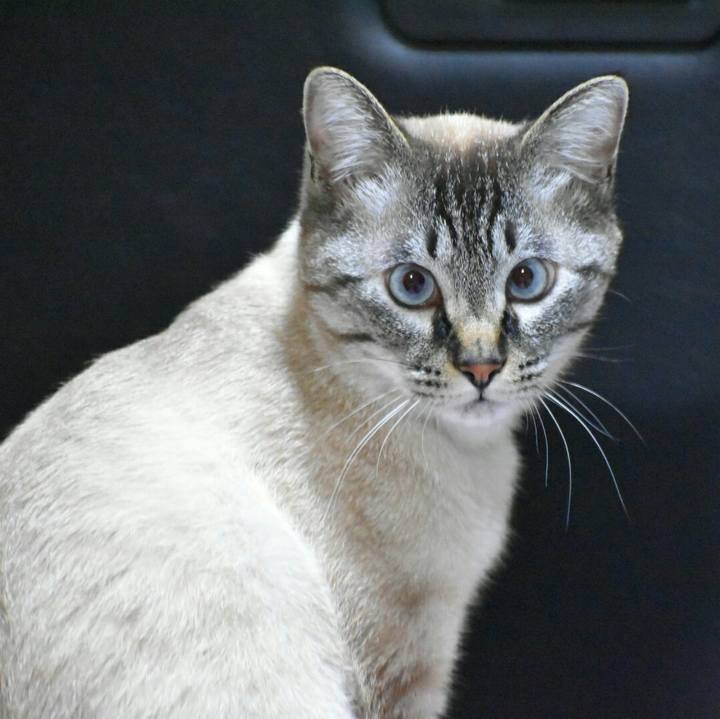 4429deea e3a2 4b99 a35a b91dfb17cf7c