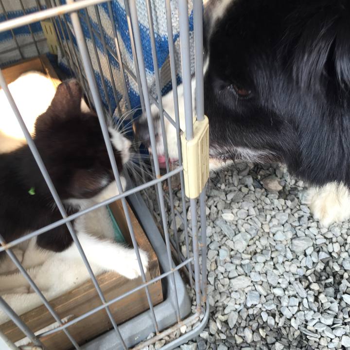 442b0f52 bc1e 48ab 8298 be0b0c4ba972