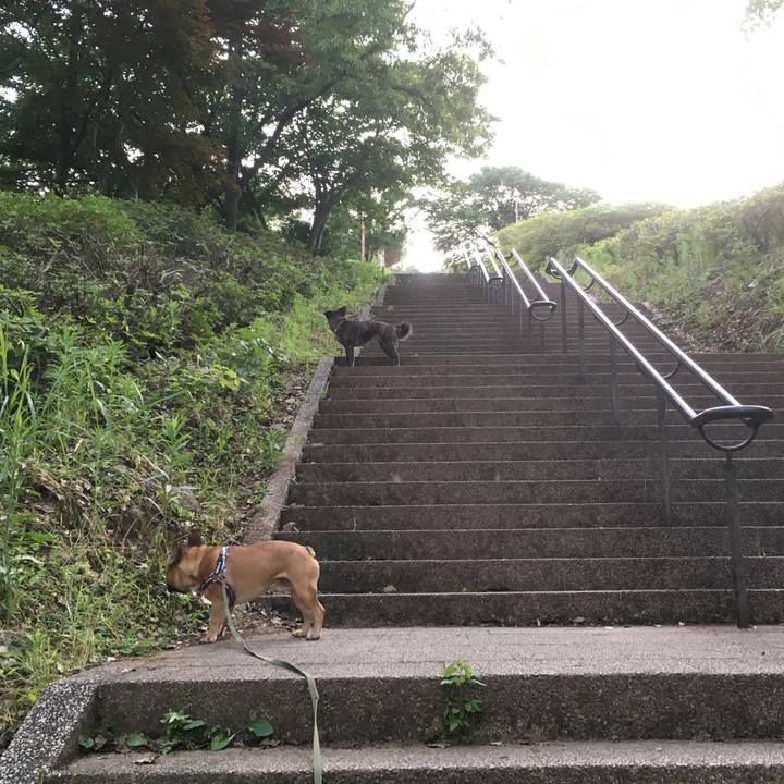 442b5725 e1ac 4183 9ef5 82192277370b