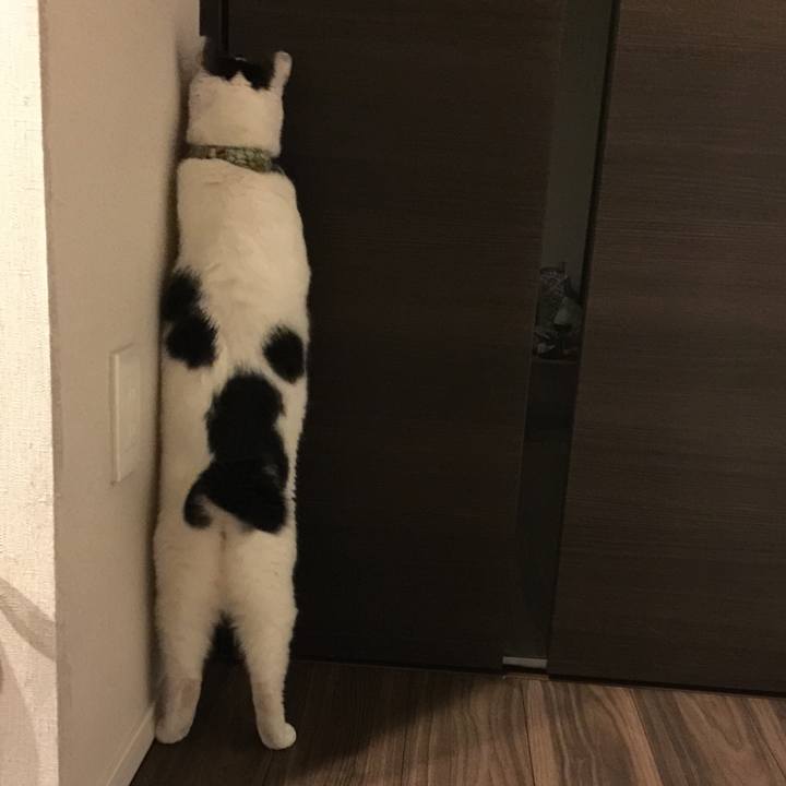 442c4b92 2f18 4662 ad29 823816b1d916