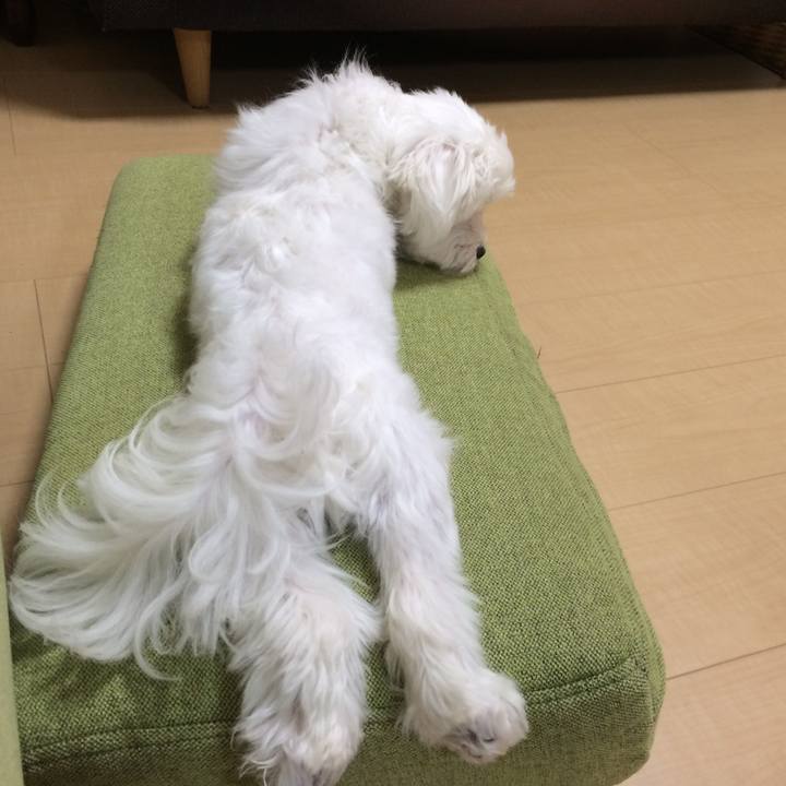 442c7cd9 bc34 4c48 a59f 93ef81e3456a