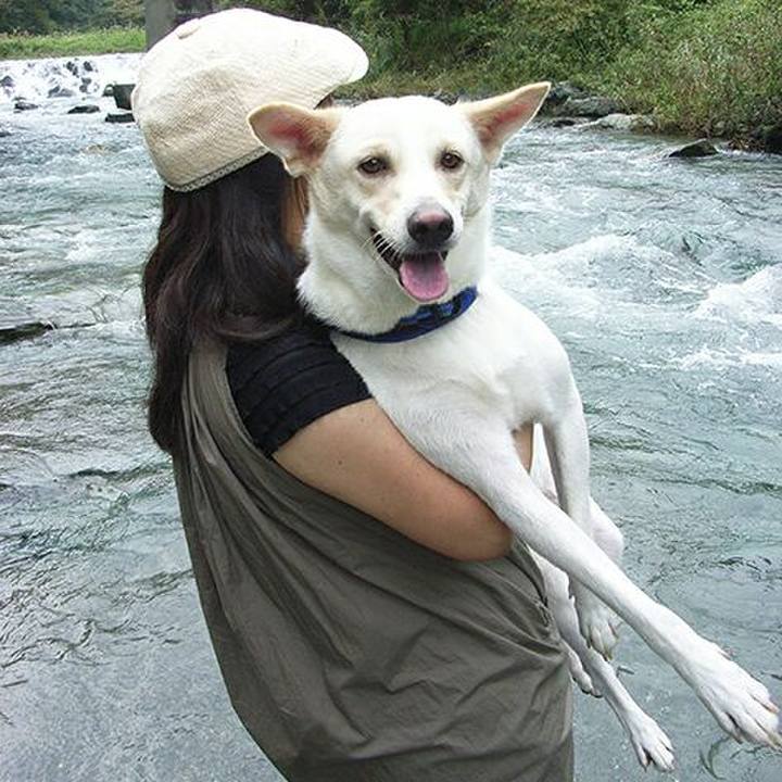 442c9093 d062 48c9 93b8 f84d4650f52c