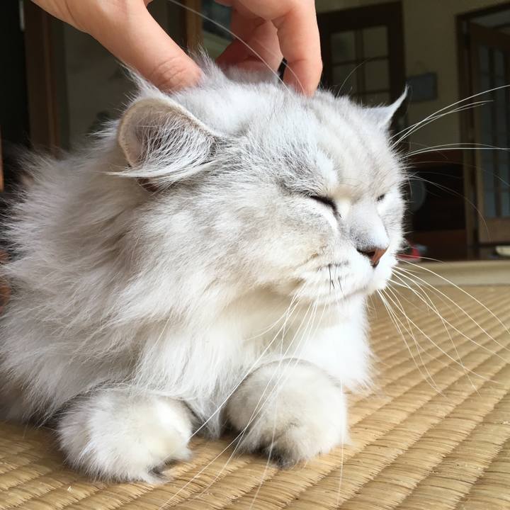 442ce41f a54b 42a8 ba83 1b91d4b620a8