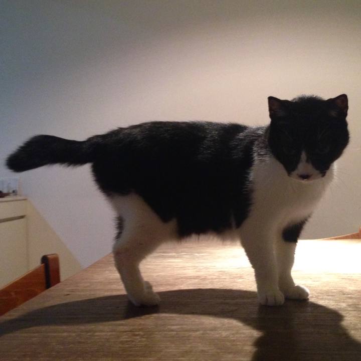 442dd205 6eca 45e3 9e60 2b9d1847925d