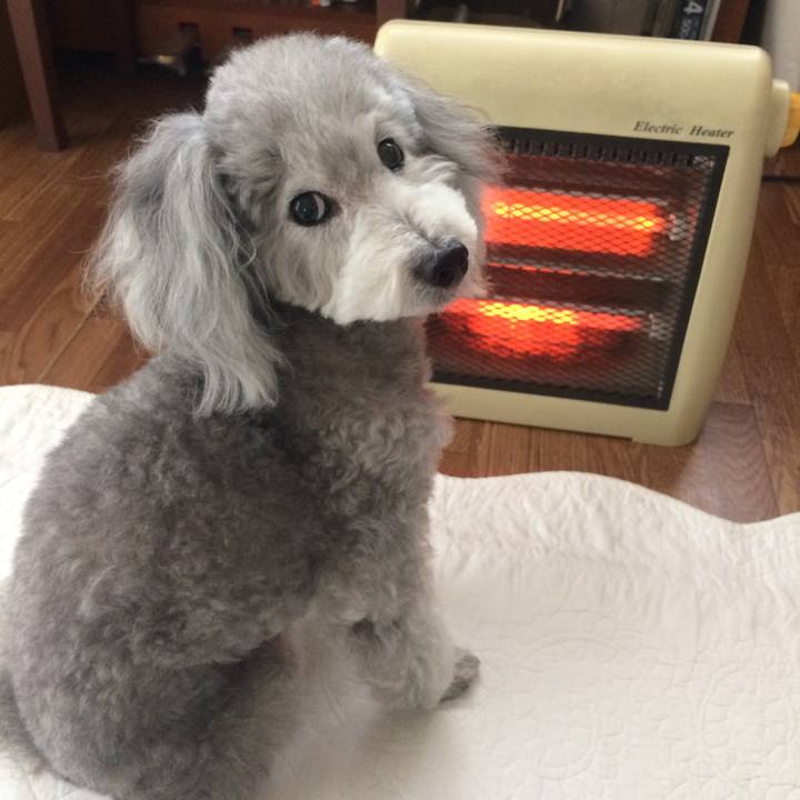 442e2d55 7bbe 4d88 9183 dc79925dd5c0