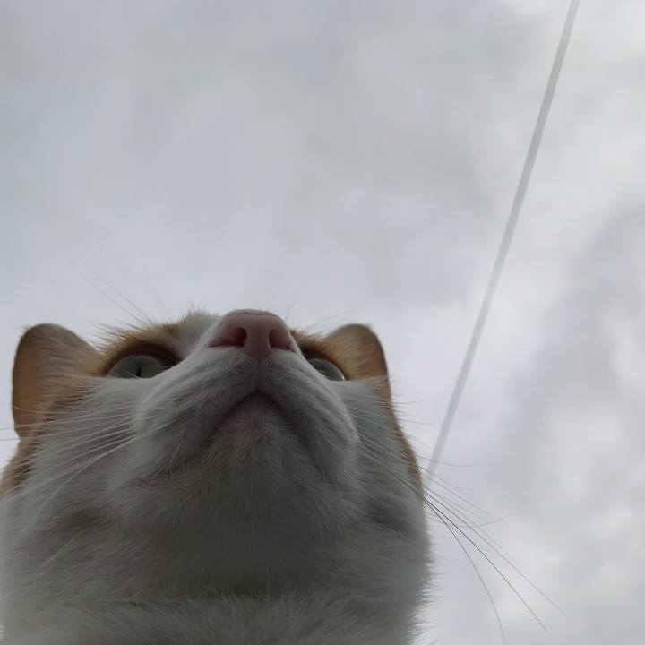 442e46fa 62bd 49a6 8ebc a40d12ab49f4