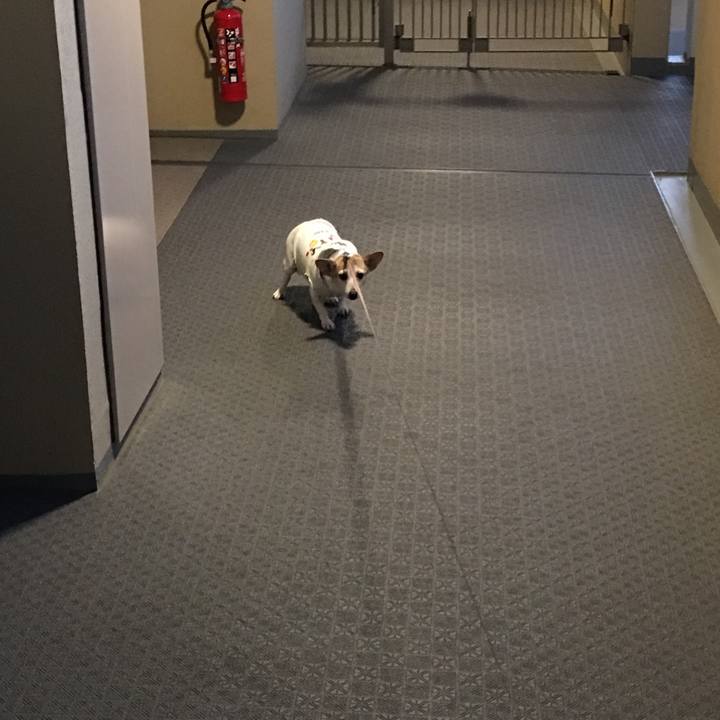 442ebe28 afce 47c4 95fb 3fbbe5e71e18