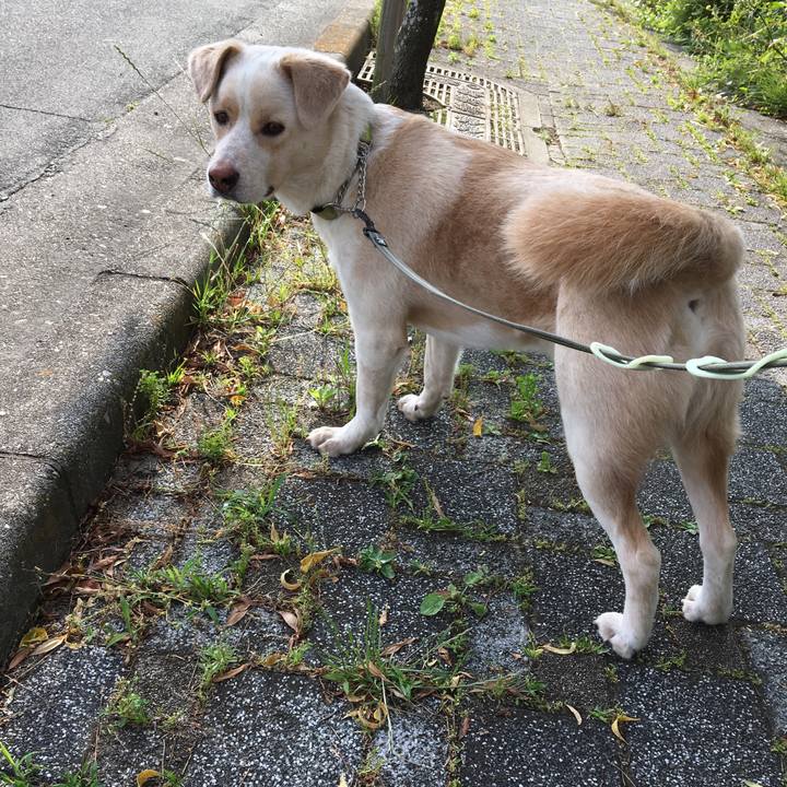 442faea4 1d87 4366 9f7d bf7ec1030fea