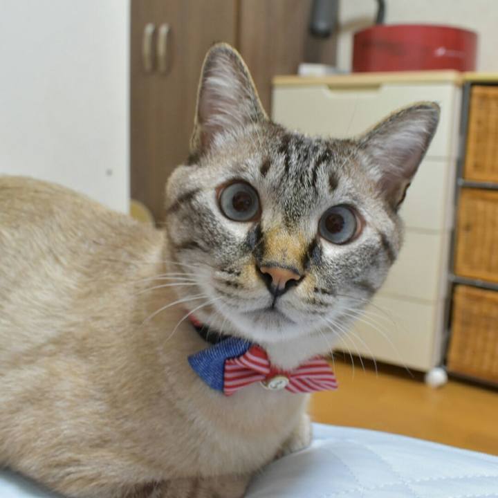 442fbf2b c6b9 4469 a4aa b942c2444ba0