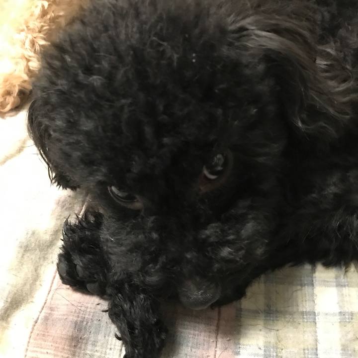 442ff98c 9c8e 4283 916d 4fe5614560ab