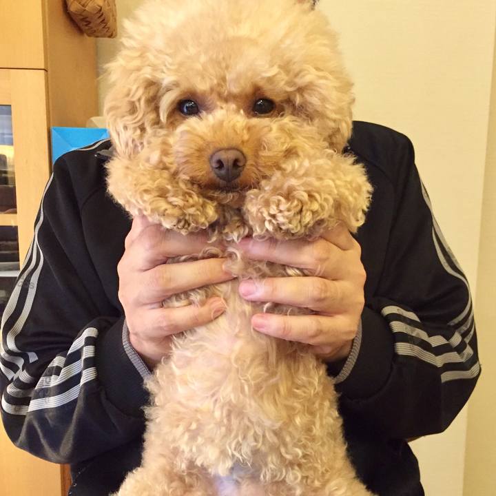 4430b5cb 48ac 448a b4bc a0c4b72681c9