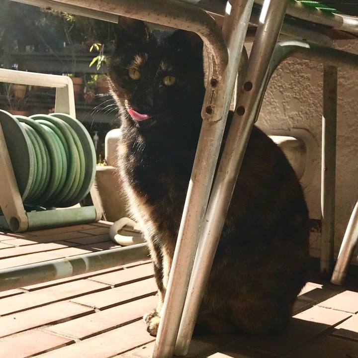 44316b1b 071d 4c63 93a3 87fa86881285