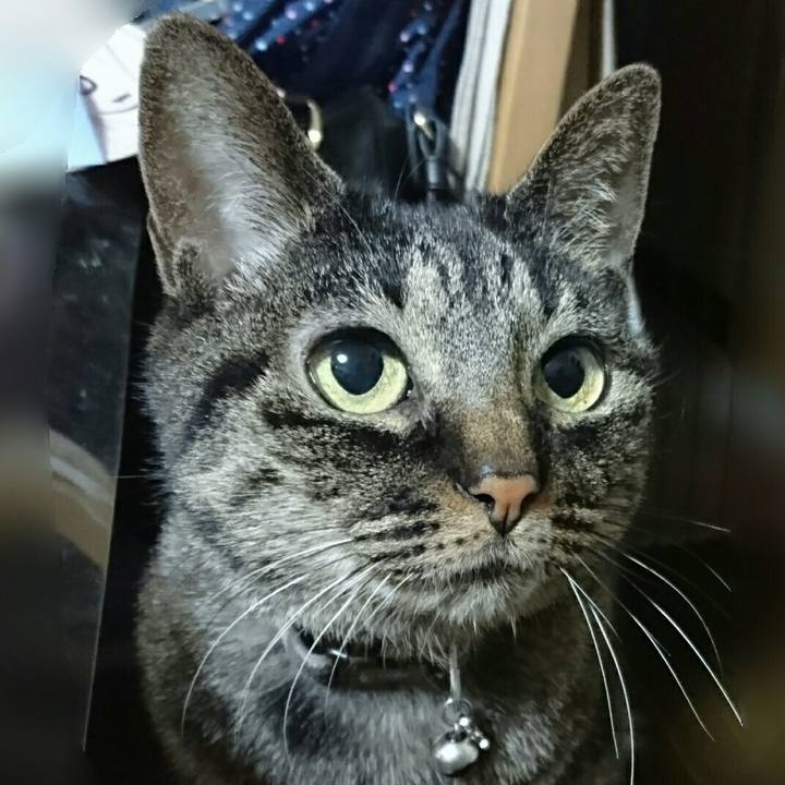 44319d4b 2ae0 462e b6ab 4bcb0de01289