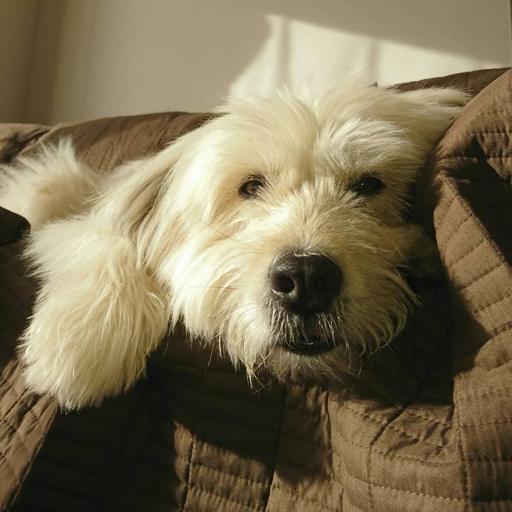 4431e79c 3cb5 4fb4 bc3d ec3a005b4cef