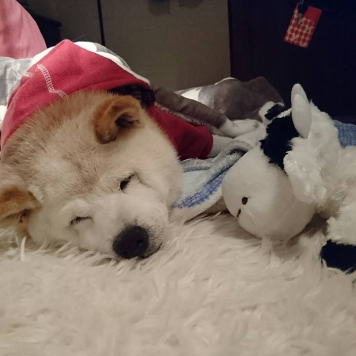 443216d1 b9b1 458a 920c 0e8101185576