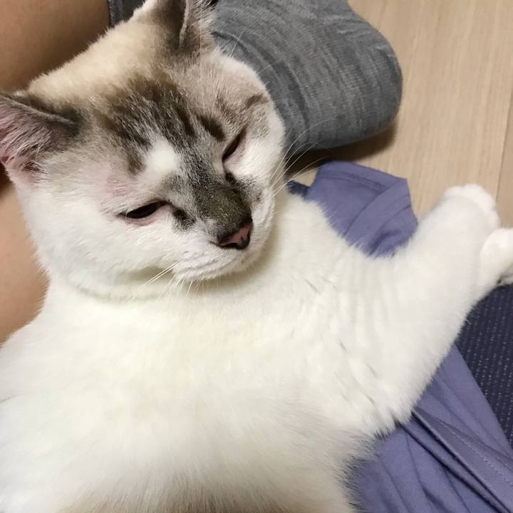 44323284 bf6f 45d1 9a8f 84c0a06a8088