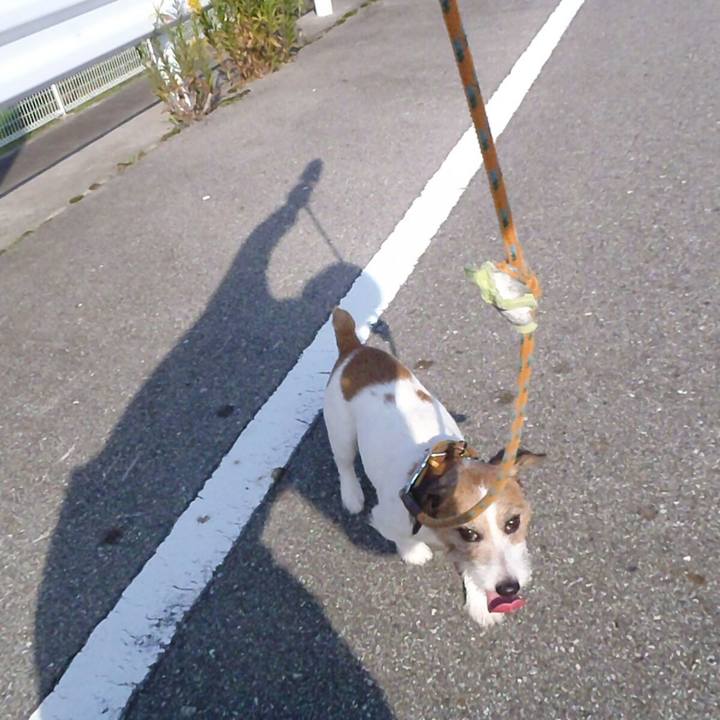 443281f7 358e 4b84 bea3 bb6501944641