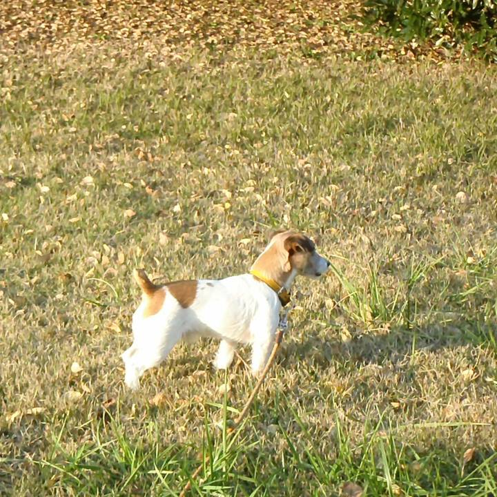 4432c9f6 d19b 4d3b 8348 1361002fe245