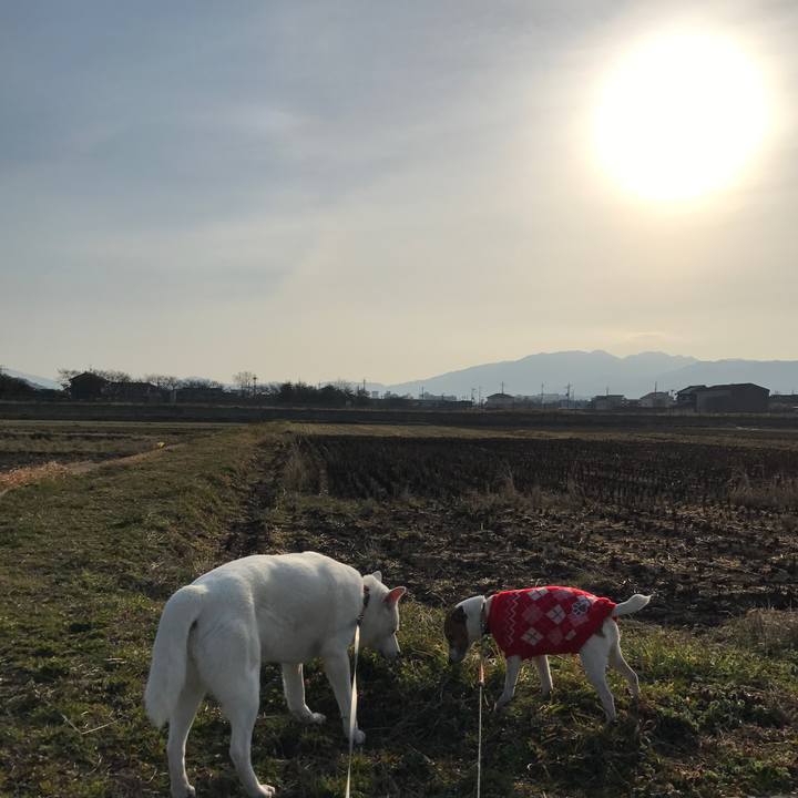 443300b7 b2d3 4989 84d1 fbf3060e7e7f