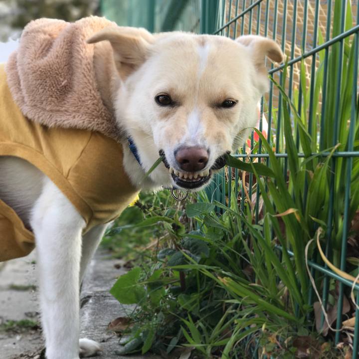 4433c784 5216 48e6 be8d dcd808291859