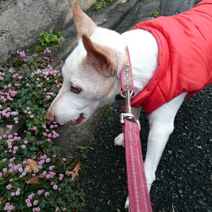 4433ee15 05d8 40bf 82c5 547aa0f0b337