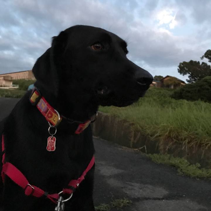 44347d78 e829 4d67 a72c d4e2a5fb33fc