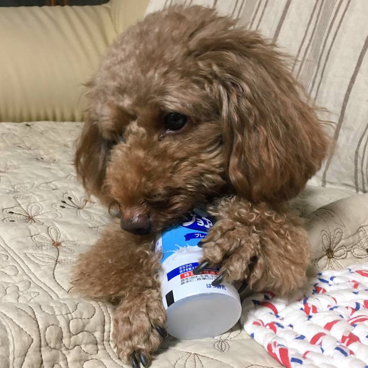 4435215e 9f82 4269 8a95 d0cf8ee0ac10