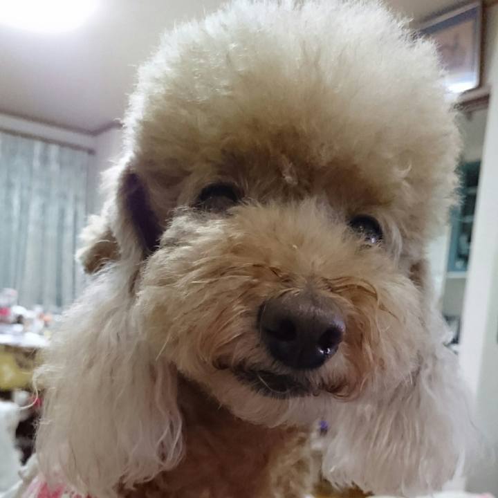 4435b088 126d 4771 9281 9720ccd60111