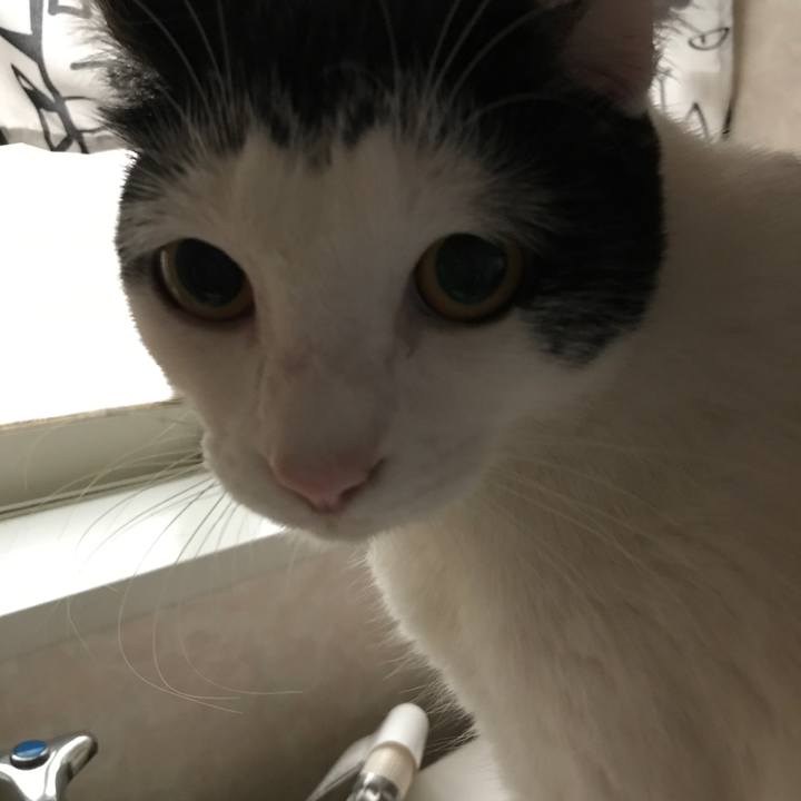 4436016b dd84 4d44 9550 51bd32e8e8b4