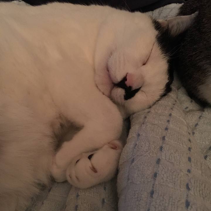 44367f6d a6c4 4e56 ab1c 768f7fe49cf4