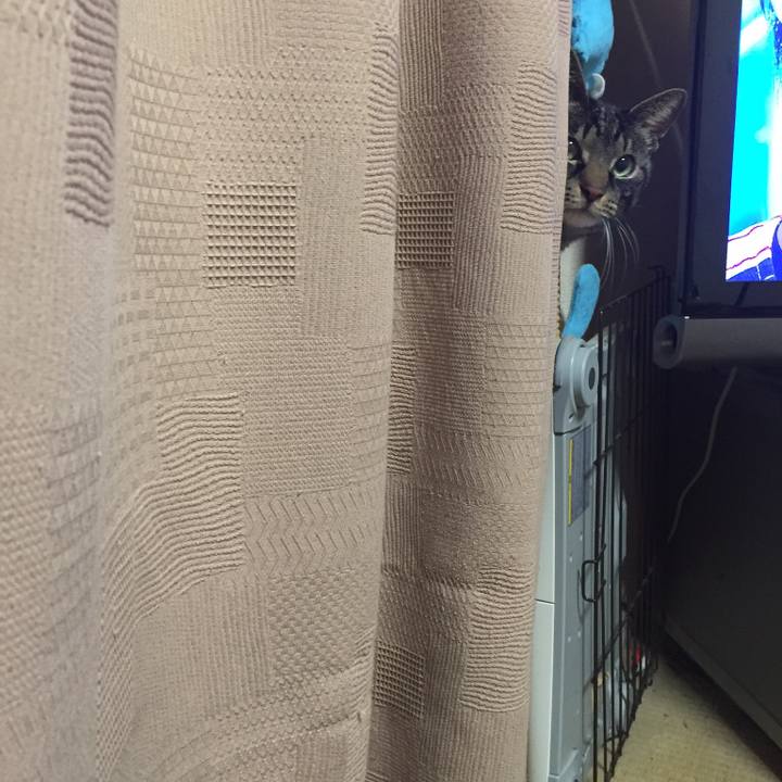 4436c695 9cbd 4474 8d03 aa0097a50e0f