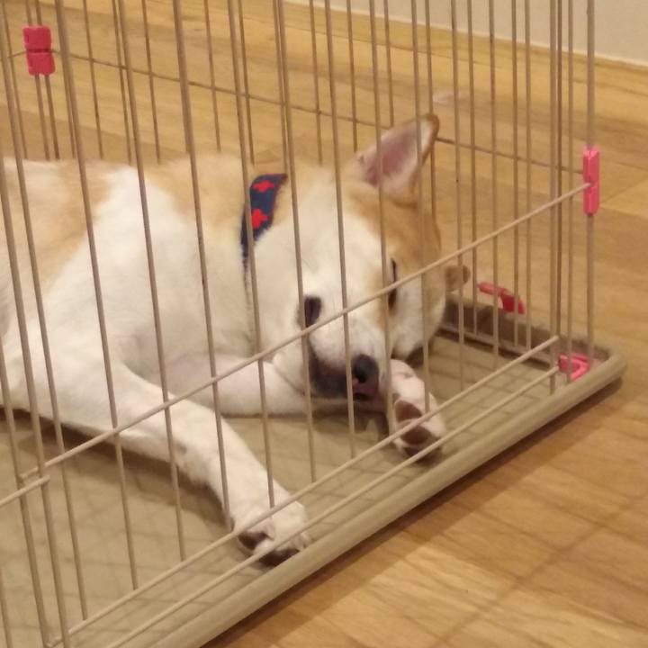 44371a64 0c0d 43fb a48b 4f06b0808440