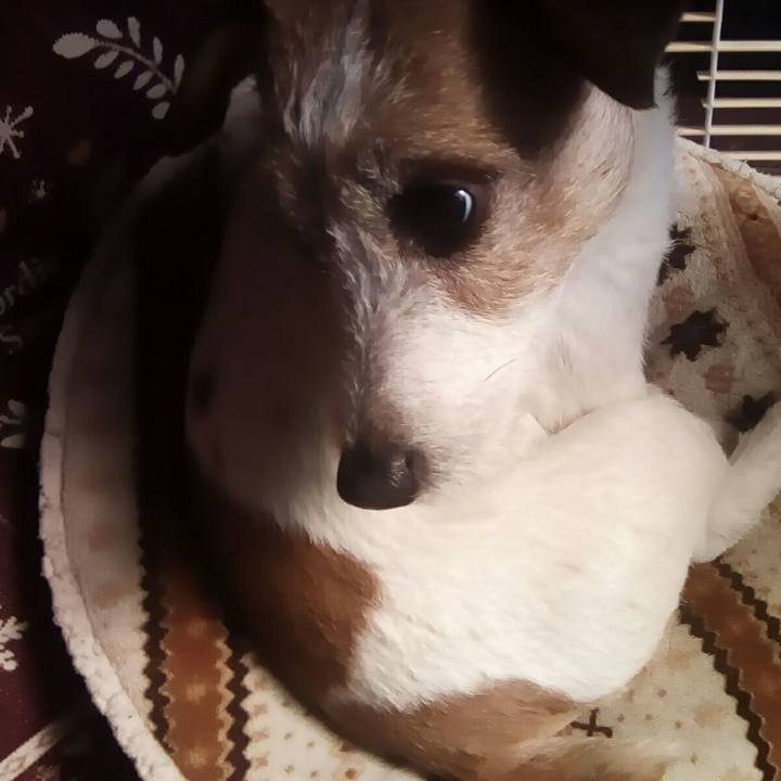 44372837 325c 464e 8230 2cfad6c71fa8